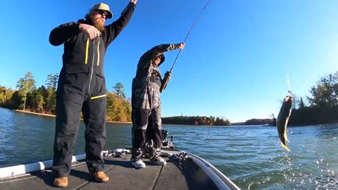 Fall Fishing For Bass Is Easy!! (Here's How We Do It)