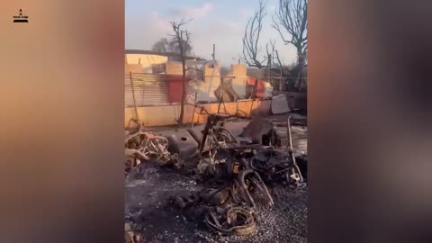 Hawaii Burns in a Sea of Fire! Explosion of Hurricane Dora Burns Maui Mercilessly- 55 Killed