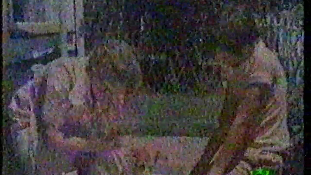il mio amico ghepardo (completo)