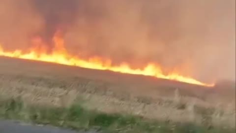 Nějak se letos rozmohly požáry obilných polí