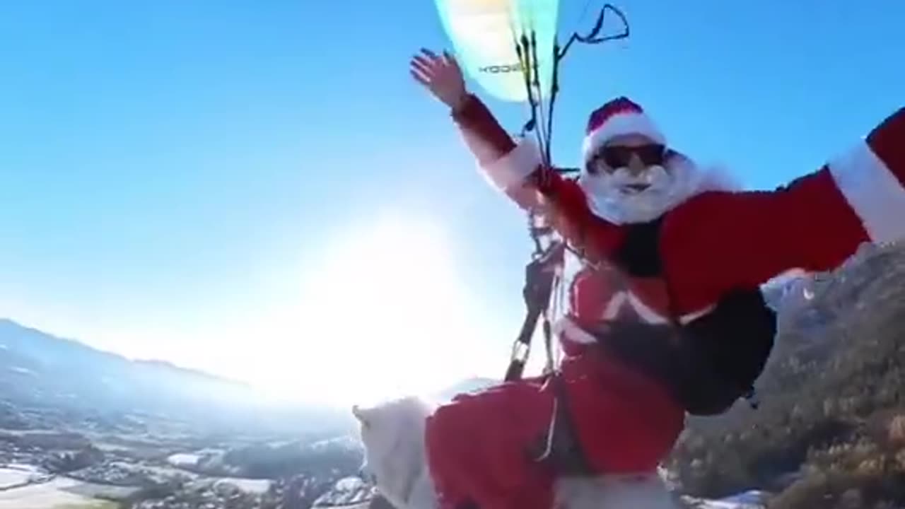 Paragliding With A Dog