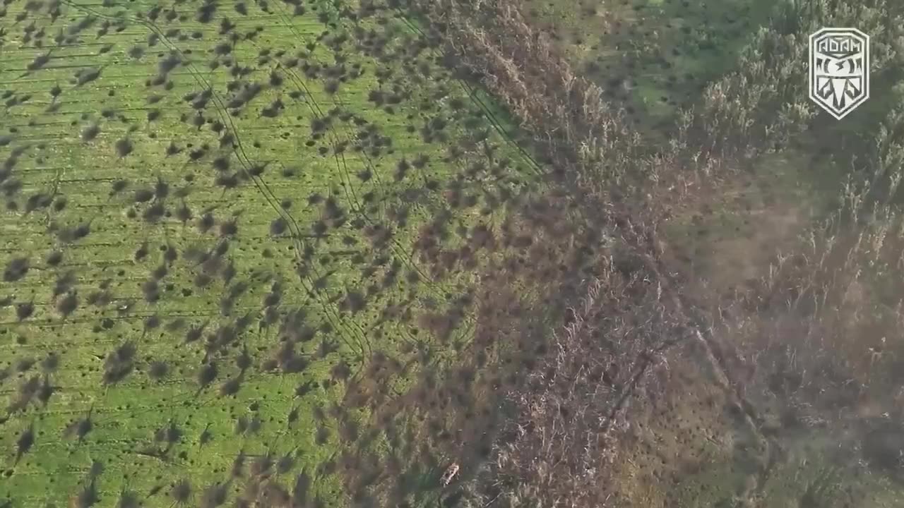 Incredible Footage from Ukrainian Artillery Cluster Shells