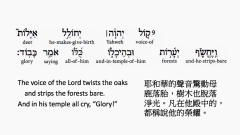 psalm 29 in hebrew _ salmo 29 en hebreo