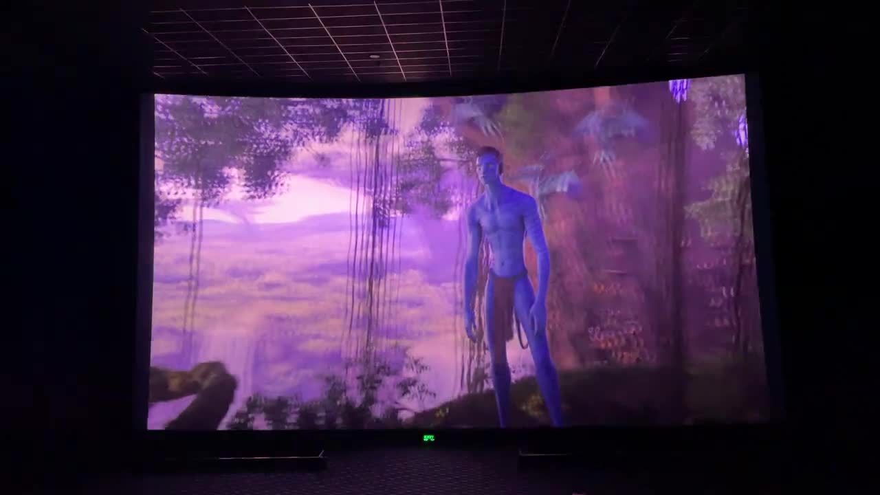 Avatar IMAX 3D re-release with select shots in 48fps TrueCut Motion (PVR, Delhi)