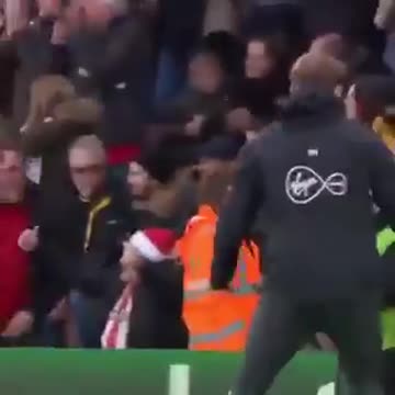 When your portfolio is up 0.69% on the day, but you realize you're down 15% on the year.