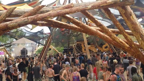 Freqs of Nature 2015 Pandoras Box Live