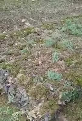 Russian mortar crew engineered a clever hide for their posistion