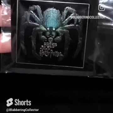 My Harry Potter Studio Tour London Pin Collection #harrypotter #wizardingworld #pincollection