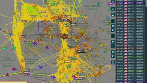 More Bird Mafia Utah Invasion AZ data - Nov 13th 2024 -