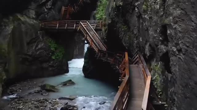 wonderful nature created it😍