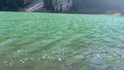 Central Oregon - Lower Green Lake Shoreline Perspective