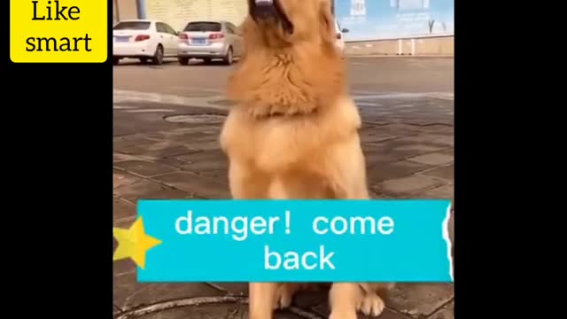 ....