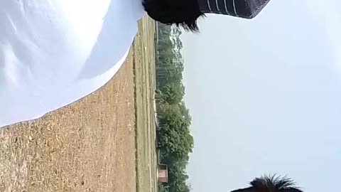 Eid video