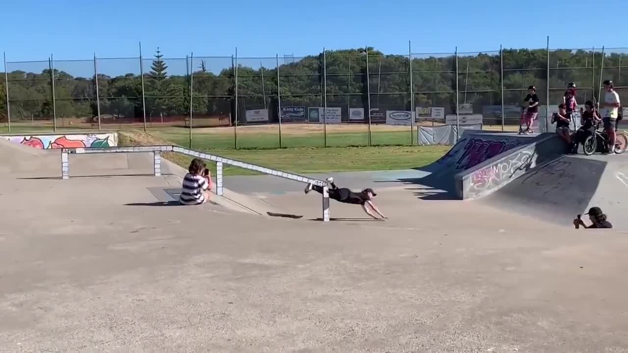 Guy Got The Worst Hit In The Nuts Trying To Do A Skateboarding Trick