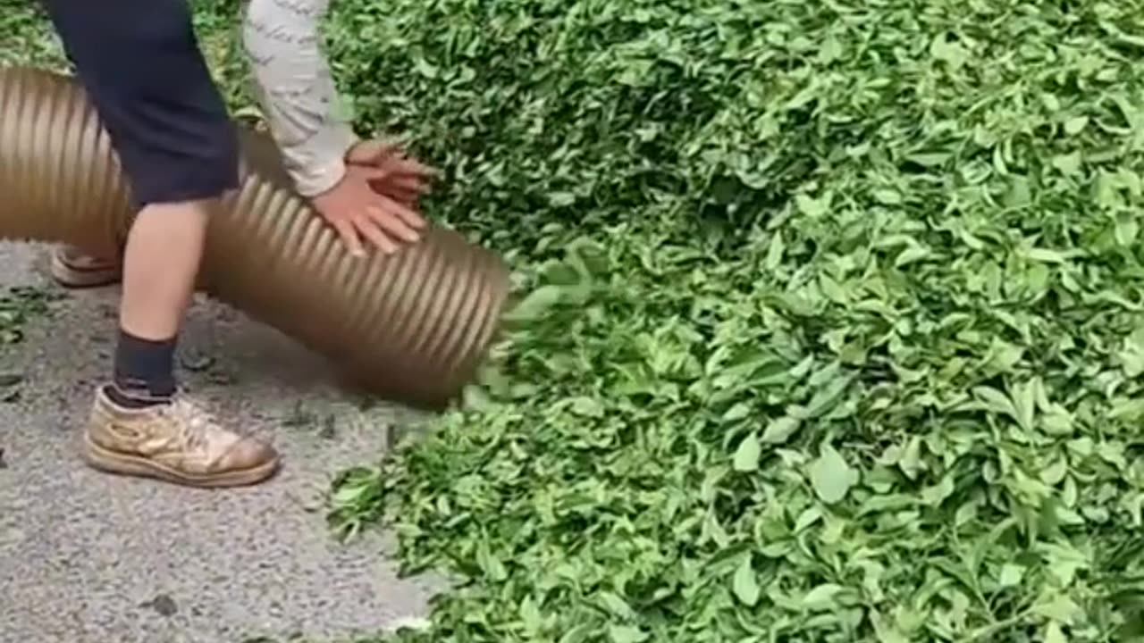 Relaxing Videos 33