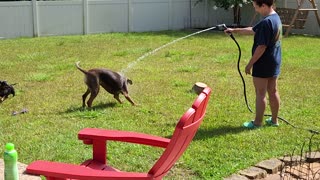 Phoebe ❤️ loves water