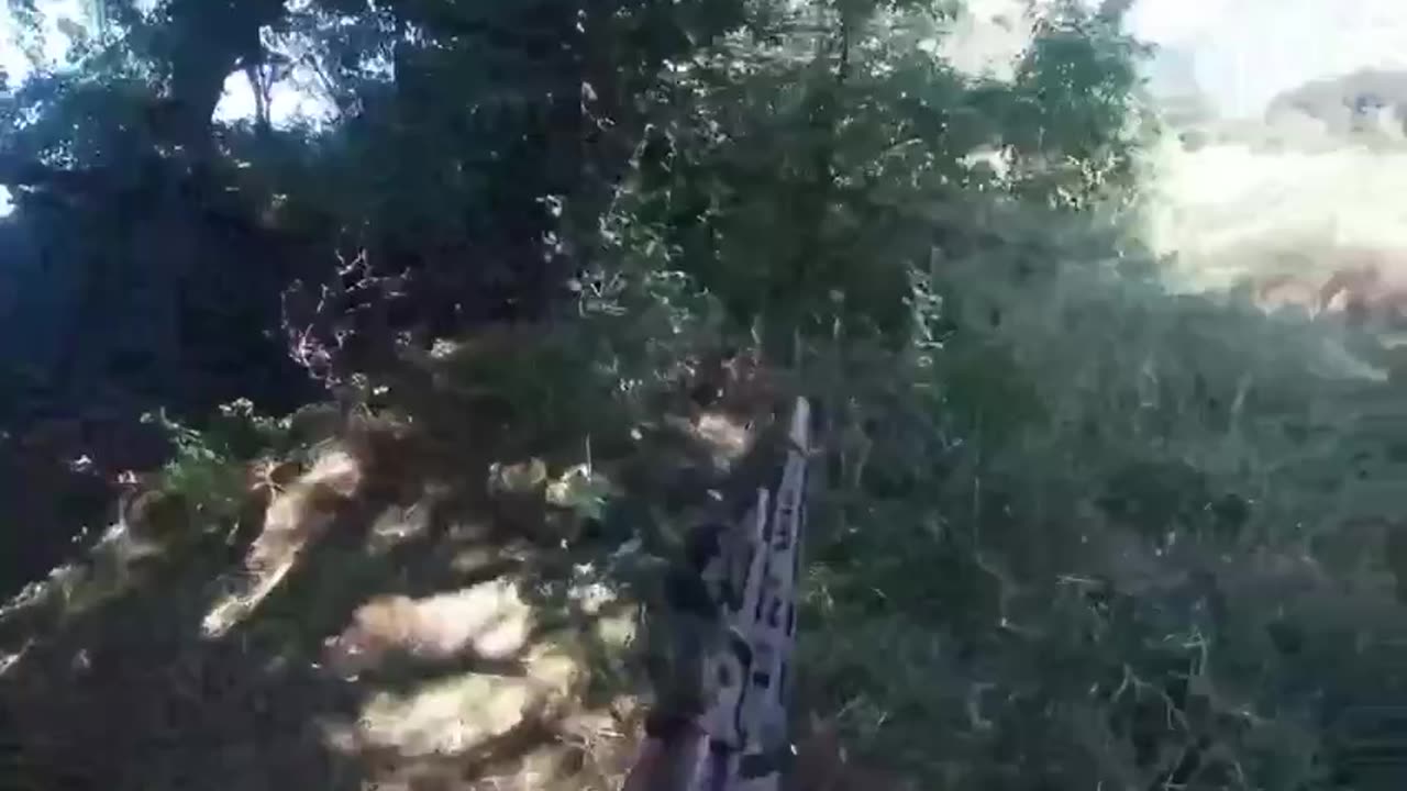 +18 Disturbing Video showing dead and wounded