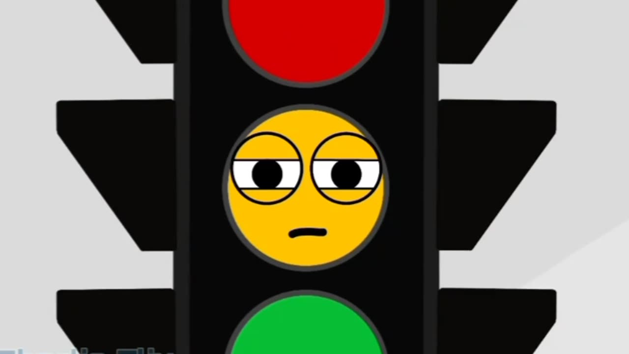 Traffic signals light are what we want to say😂