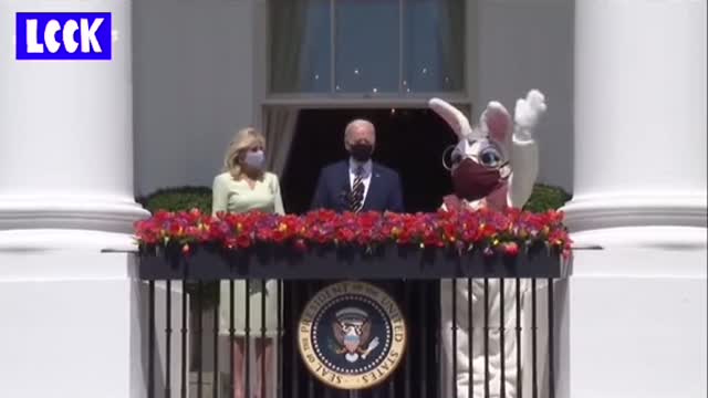 Joe Biden Brings Cat Toy Calls Her Their Guest