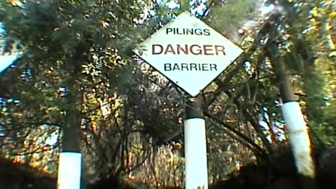 2005 Birds Underwater Manatee Tour - Part 2