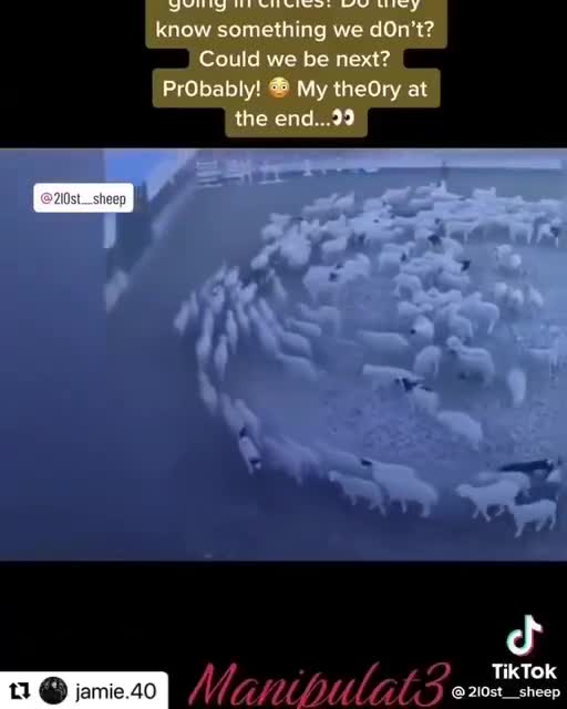 Animals in circles & 5G