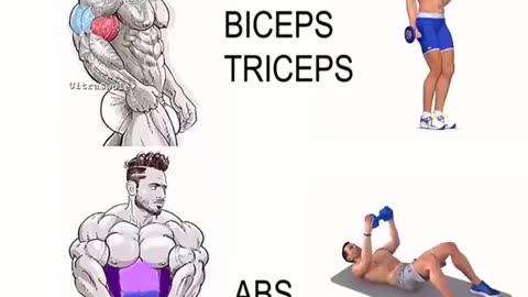 Best Body Workout