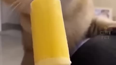 Popsicle was OD