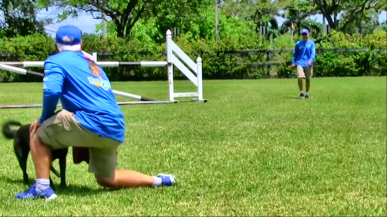 Behind the scene Footage at My Dog Trainer's Dog Training academy!