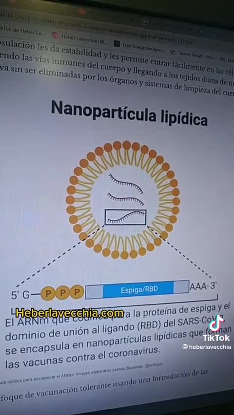 Rumores zombie en España