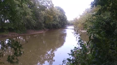 Steyer Nature Preserve Sandusky River Seneca County