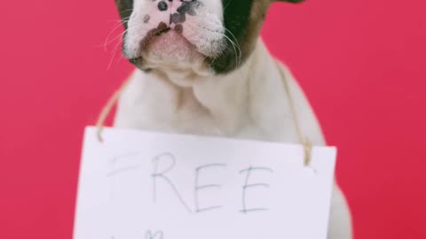 free kisses