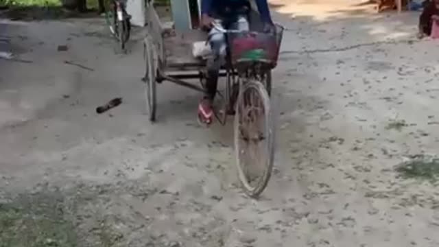 Awesome comedy video
