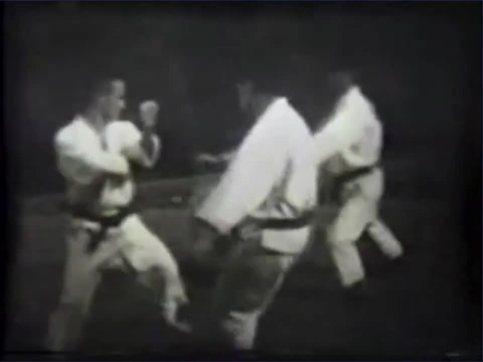 What Boxers Taught Joe Lewis About Karate