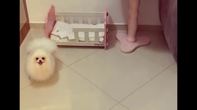 when your friend is shy