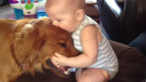 Funny Baby Kisses Dog