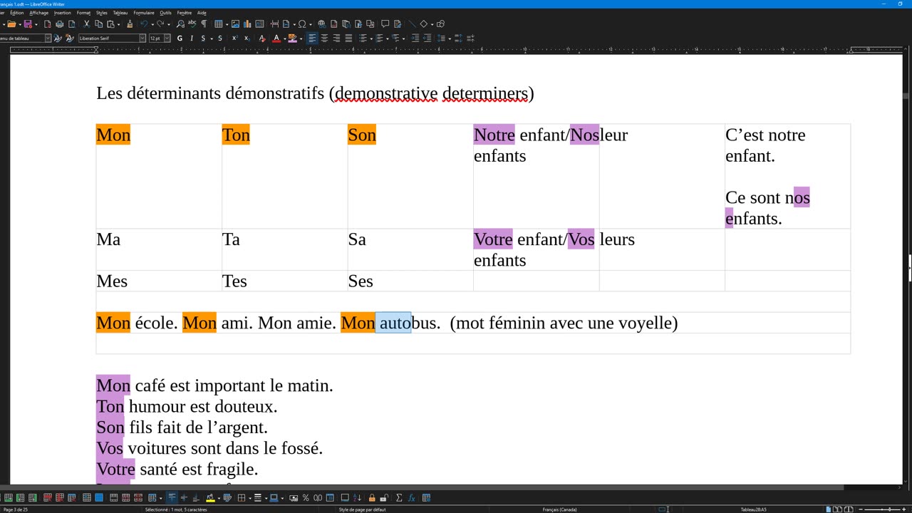 French 10 (complement) possessive determiners déterminants possessifs