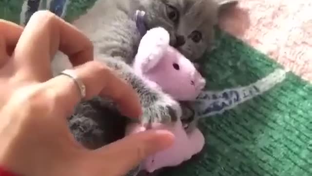 Don't Touch My Toy 😅