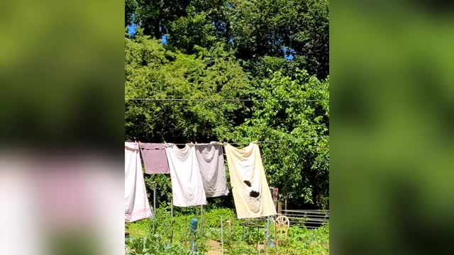 Time For New Towels