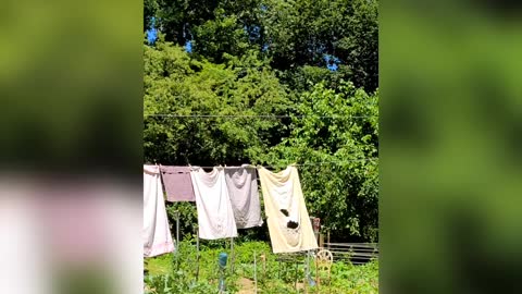Time For New Towels