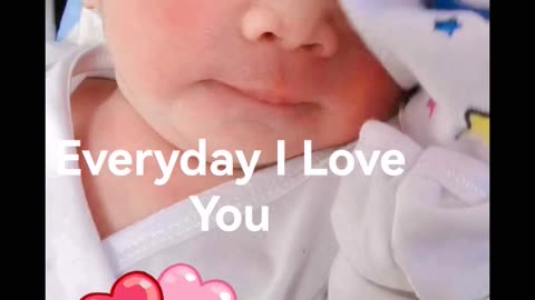 Everyday I Love You
