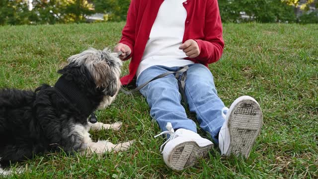 Kid Sitting on Grass with a Dog