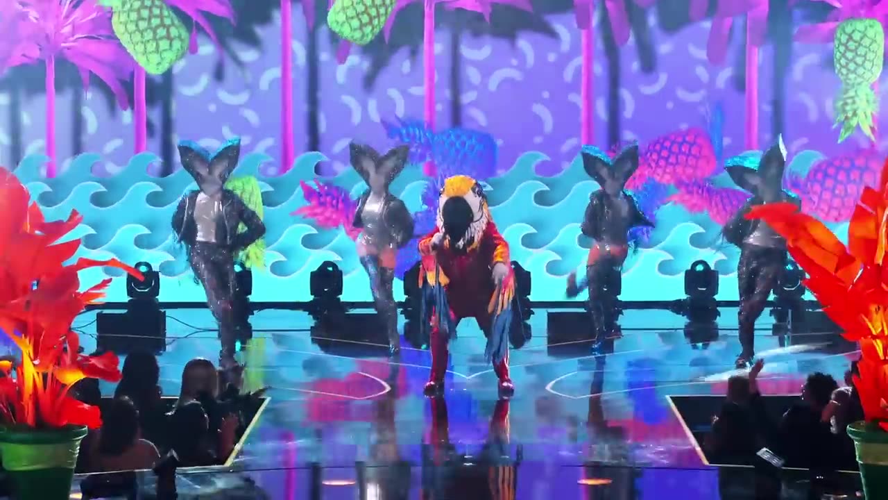 Macaw Performs “What Makes You Beautiful” By One Direction _ Season 9 Ep. 13 _ The Masked Singer