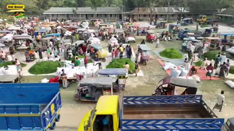 বাংলাদেশের বৃহত্তম কাঁচা মরিচের বাজার দেখুন ভিডিও তে।