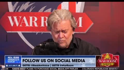 Bannon dragging Madeline Peltz at Media Matters so bad 😂