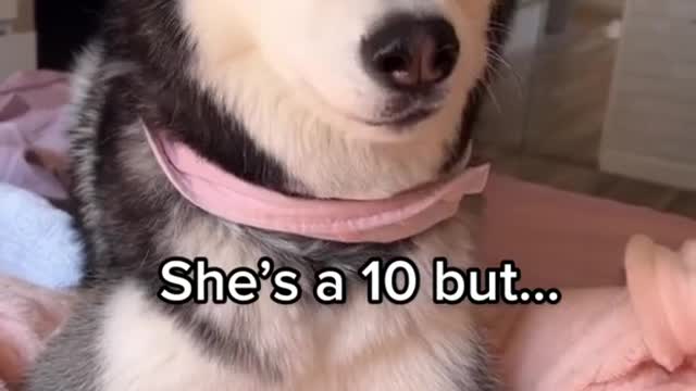 Is she still a 10 if your girl does this? 👀