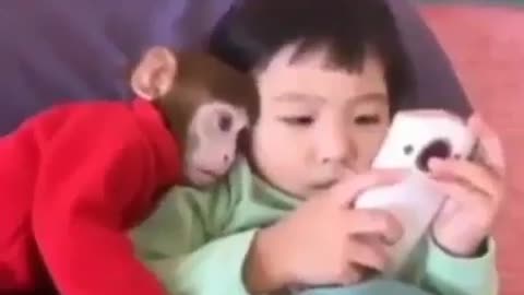 Monkey protects this little baby girl 🥰🥰🥰