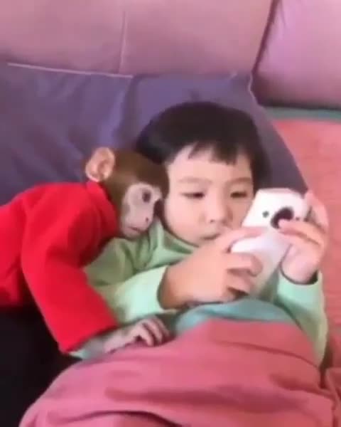 Monkey protects this little baby girl 🥰🥰🥰