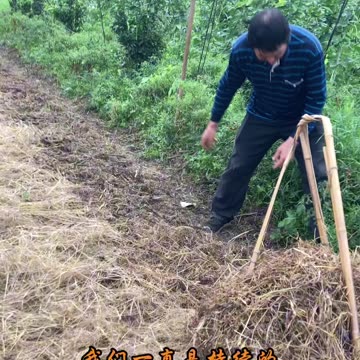 四个持續將帶來四免四高