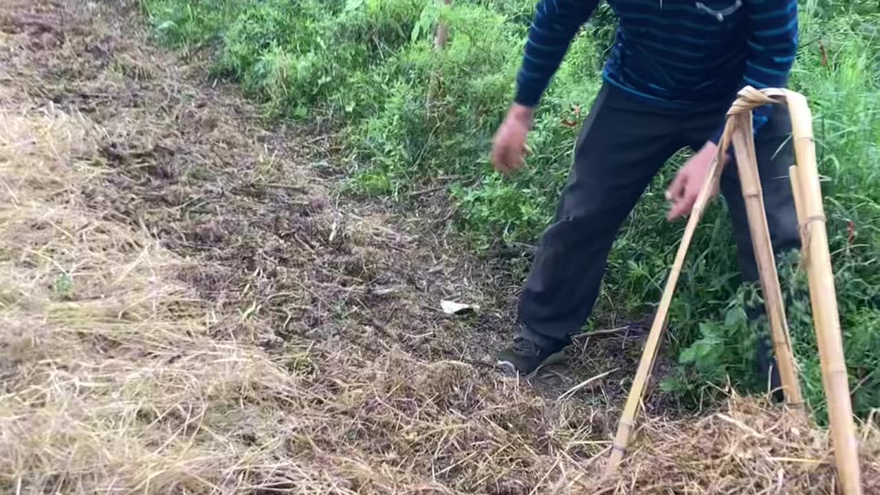 四个持續將帶來四免四高