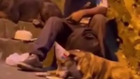BEAUTIFUL - The love between Man and Animal -Birthday party